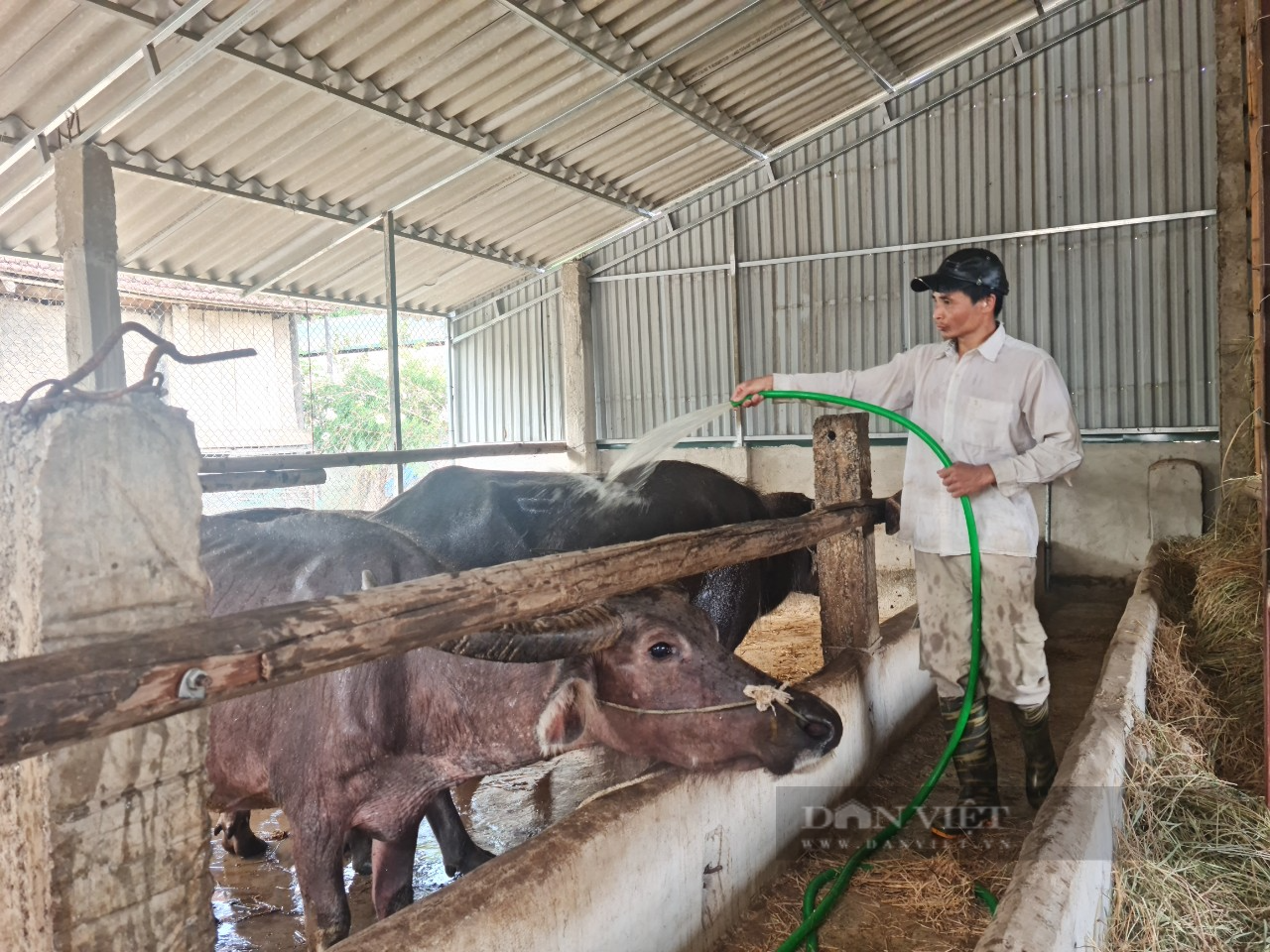 Nông dân Noong Hẹt thoát ghèo từ nguồn vốn vay Ngân hàng Chính sách   - Ảnh 4.