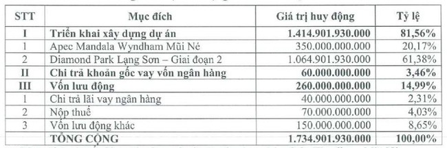 ĐHĐCĐ IDJ: Lên mục tiêu kinh doanh tăng trưởng vượt trội, huy động hơn 1.700 tỷ cho 3 dự án - Ảnh 1.