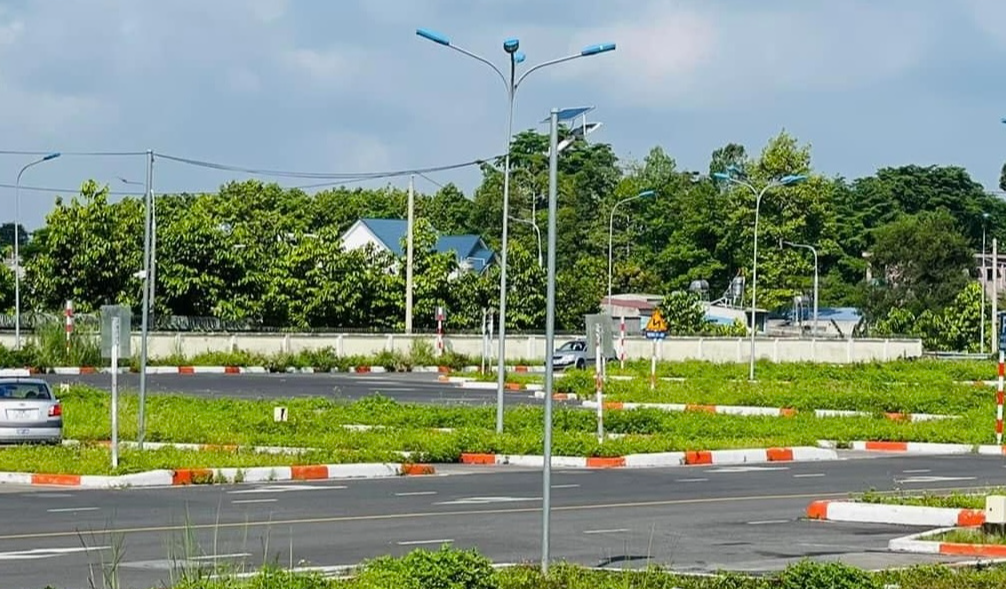 Đồng Nai: Sở GTVT tạm dừng tiếp nhận hồ sơ cấp đổi giấy phép lái xe do hết phôi - Ảnh 1.