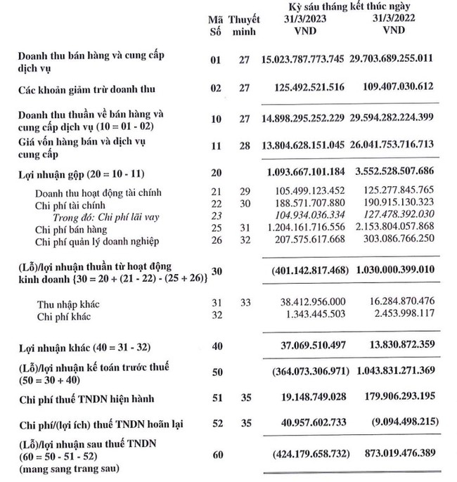 Tập đoàn Hoa Sen (HSG): báo lỗ hơn 400 tỷ đồng sau 6 tháng đầu năm tài chính 2022-2023 - Ảnh 1.