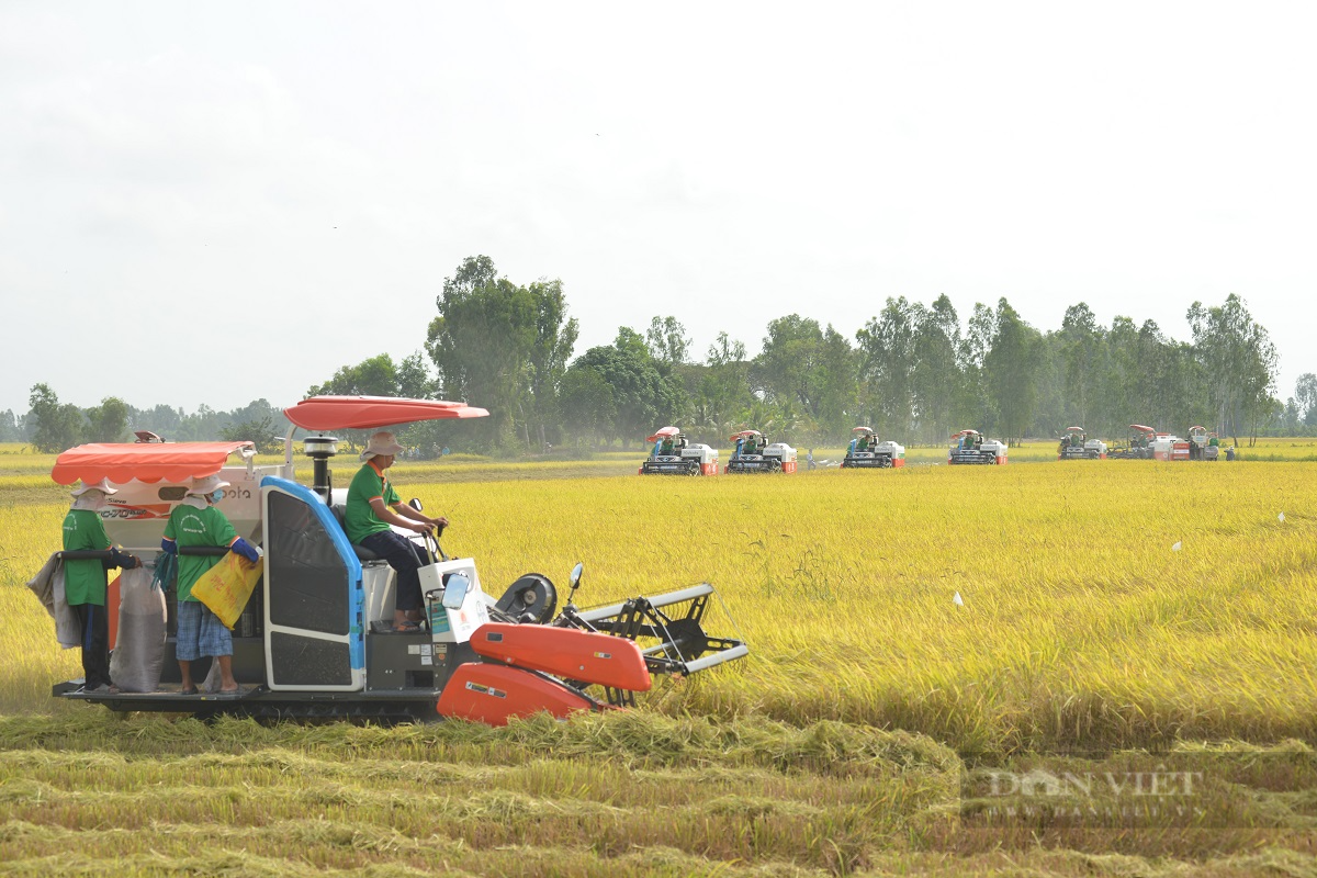 &quot;Trói&quot; đất trồng lúa nước vào khu vực quản lý nghiêm ngặt mục đích sử dụng đất là quá cứng nhắc - Ảnh 1.