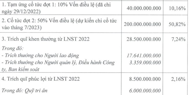 ĐHĐCĐ Cảng Đình Vũ (DVP): - Ảnh 1.