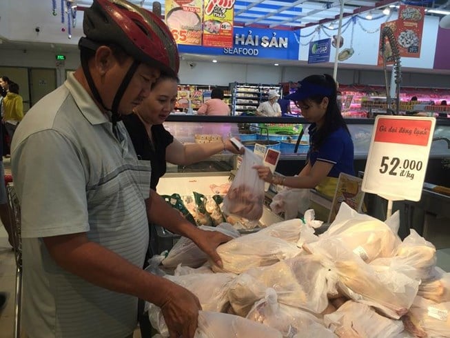 Thảm cảnh của người chăn nuôi gia cầm (bài 3): Gà ngoại “đè bẹp” gà nội - Ảnh 1.