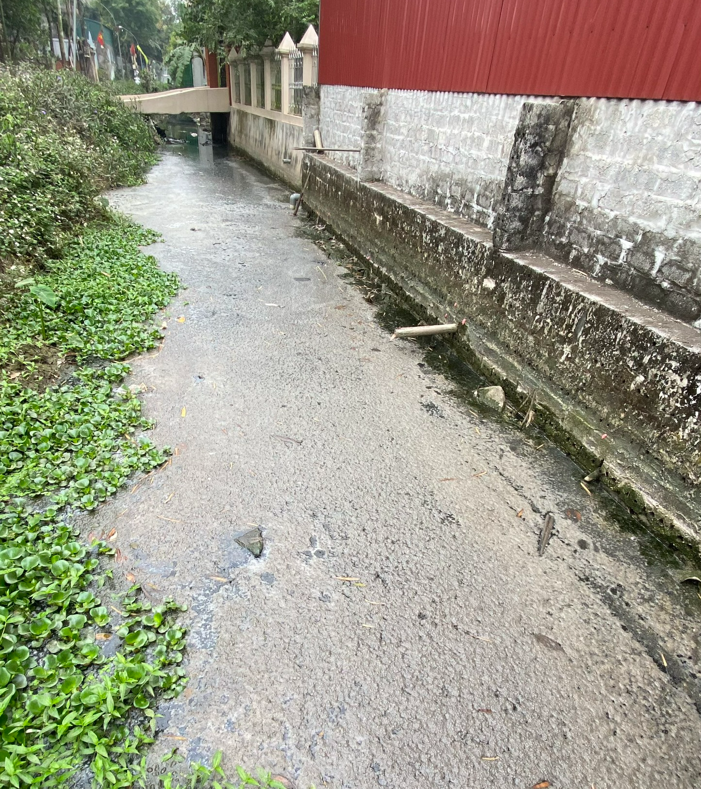 Người dân thị trấn Vĩnh Trụ (Hà Nam) kêu cứu vì ô nhiễm môi trường - Ảnh 5.