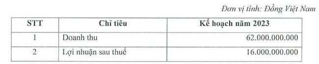 Chứng khoán Trí Việt (TVB) lên kế hoạch thoát lỗ và không trả cổ tức 2022 - Ảnh 2.