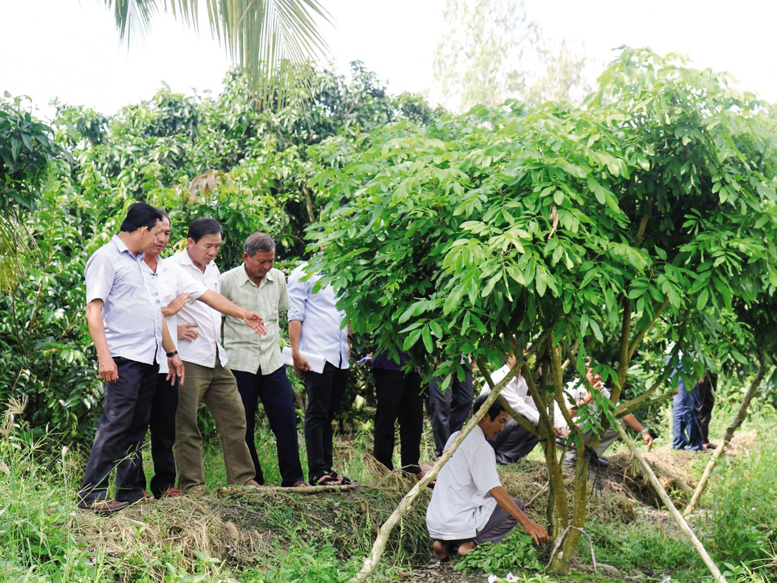 Quỹ HTND là giải pháp hiệu quả giúp nhiều hội viên phát triển kinh tế  - Ảnh 1.