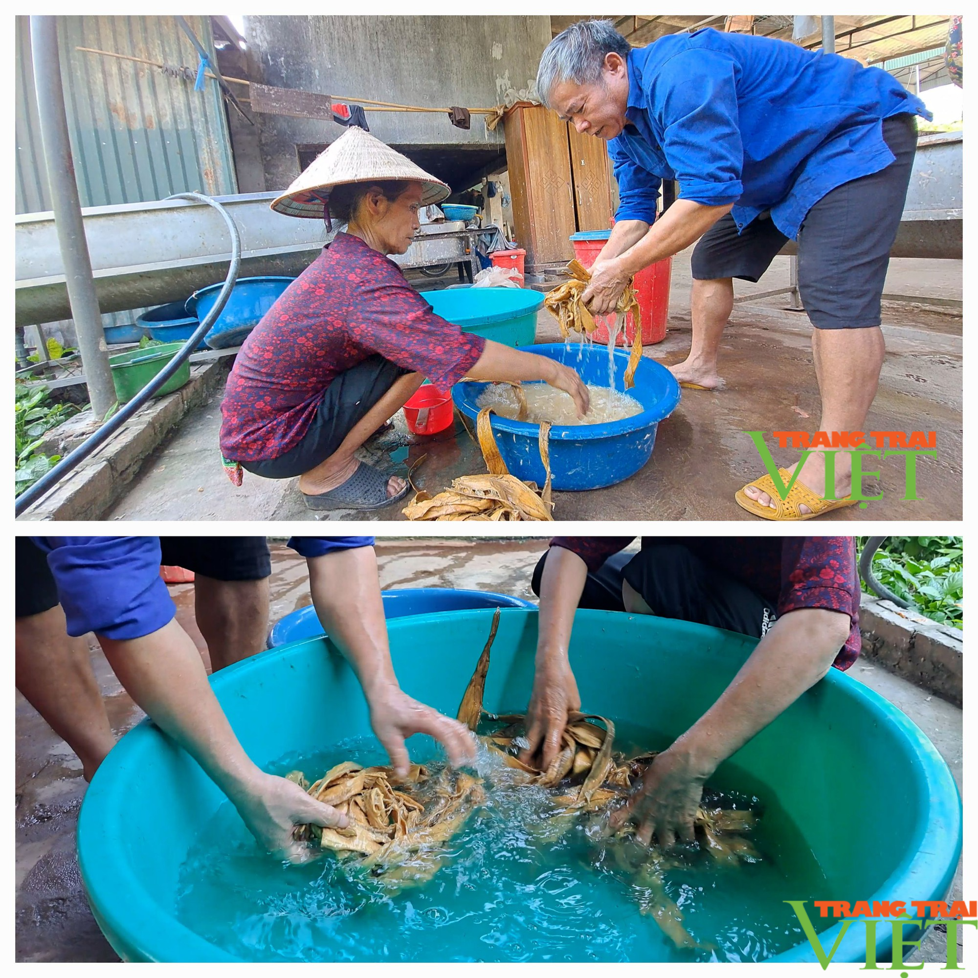 Những nghệ nhân Suối Cỏ miệt mài "giữ lửa" nghề làm giấy dó - Ảnh 4. Những nghệ nhân Suối Cỏ miệt mài "giữ lửa" nghề làm giấy dó - Ảnh 4.