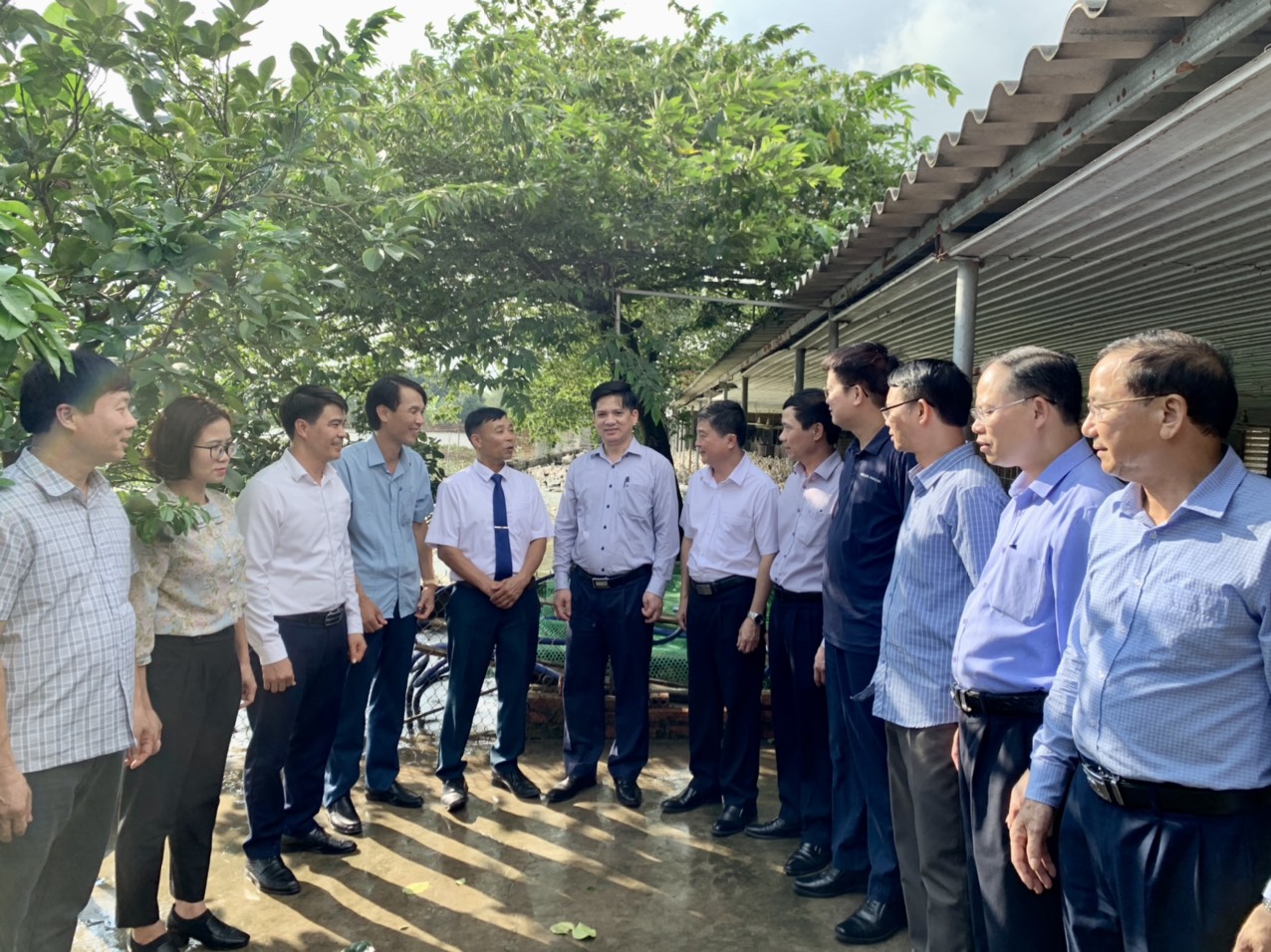 Lão nông xứ vải bán trứng cho Samsung, lãi lớn mà lại nhàn - Ảnh 1.