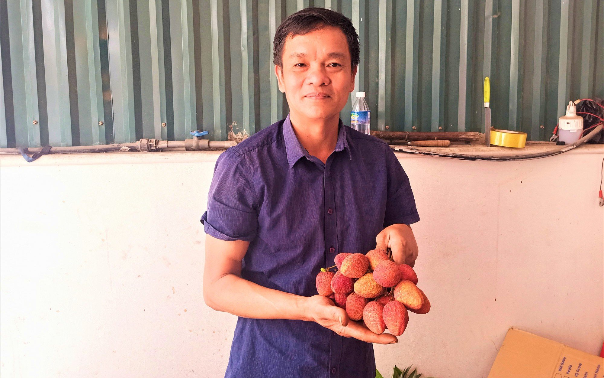 Cái kết ngọt với lão nông tiên phong trồng “Đệ nhất vải Thanh Hà” - Ảnh 1.