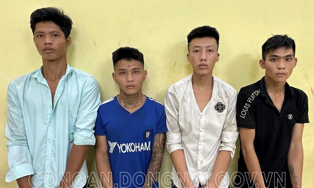 Đồng Nai: Triệt xóa băng nhóm gây hàng chục vụ cướp giật tài sản manh động trên Quốc lộ 51 - Ảnh 1.
