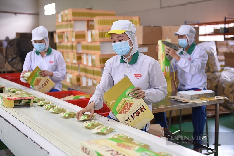6 tháng đầu năm, kim ngạch xuất khẩu của TP.HCM đạt gần 20 tỷ USD - Ảnh 1.