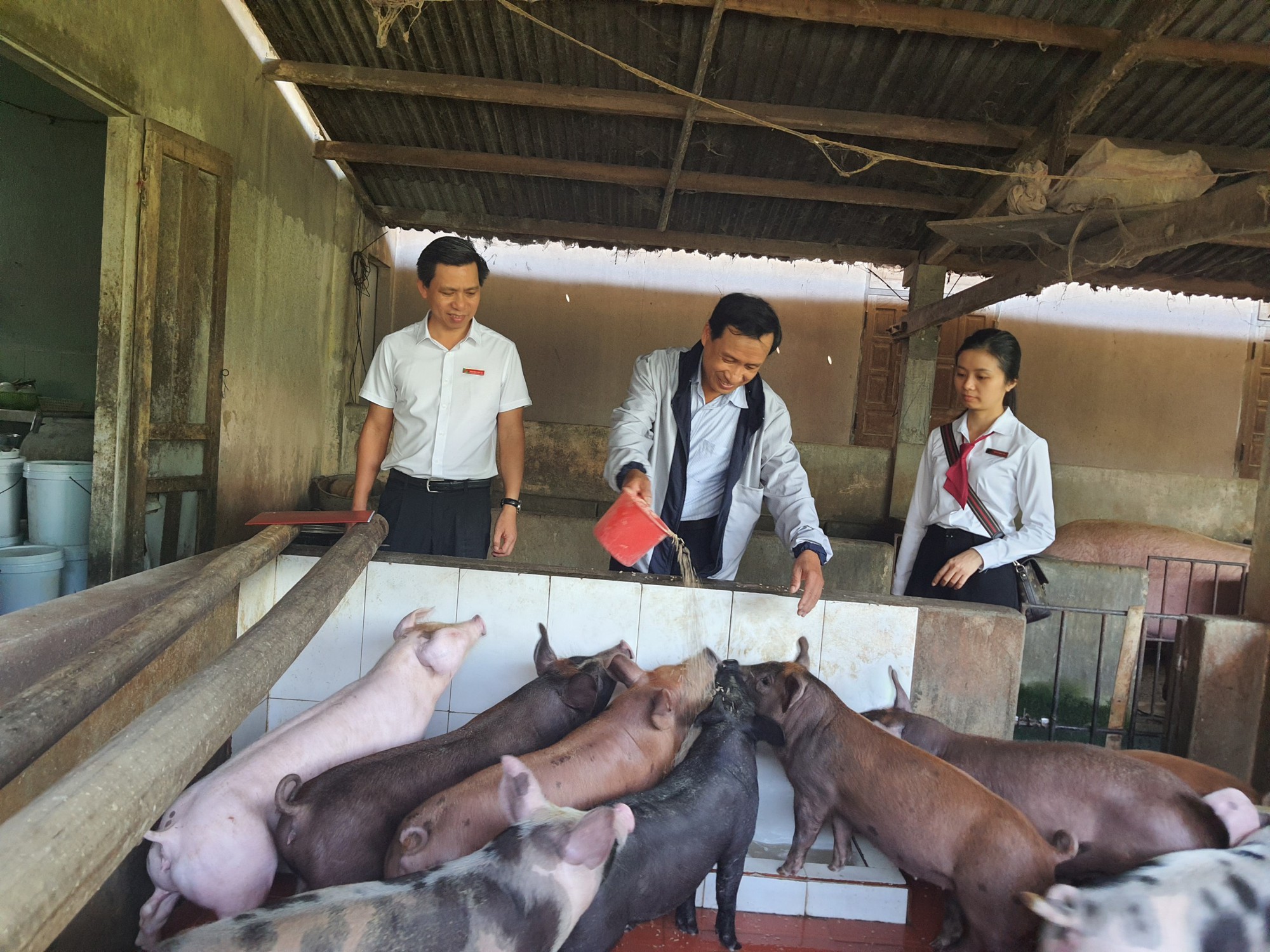 Nỗ lực tiếp vốn phát triển tam nông - Ảnh 1.