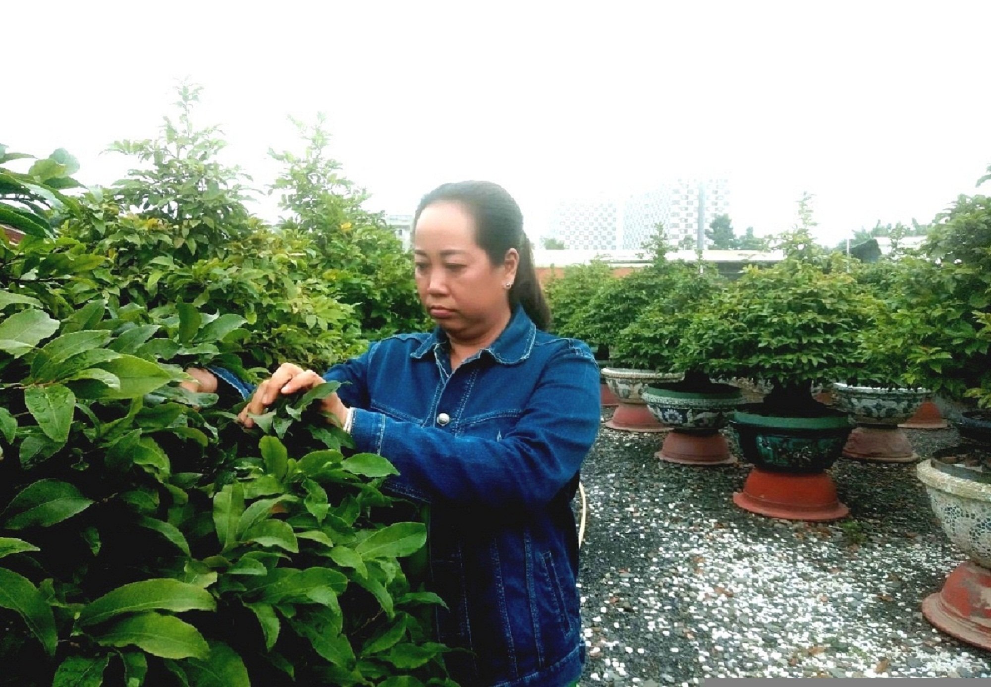 Nỗ lực xây dựng đội ngũ nông dân chuyên nghiệp - Ảnh 1. Nỗ lực xây dựng đội ngũ nông dân chuyên nghiệp - Ảnh 1.