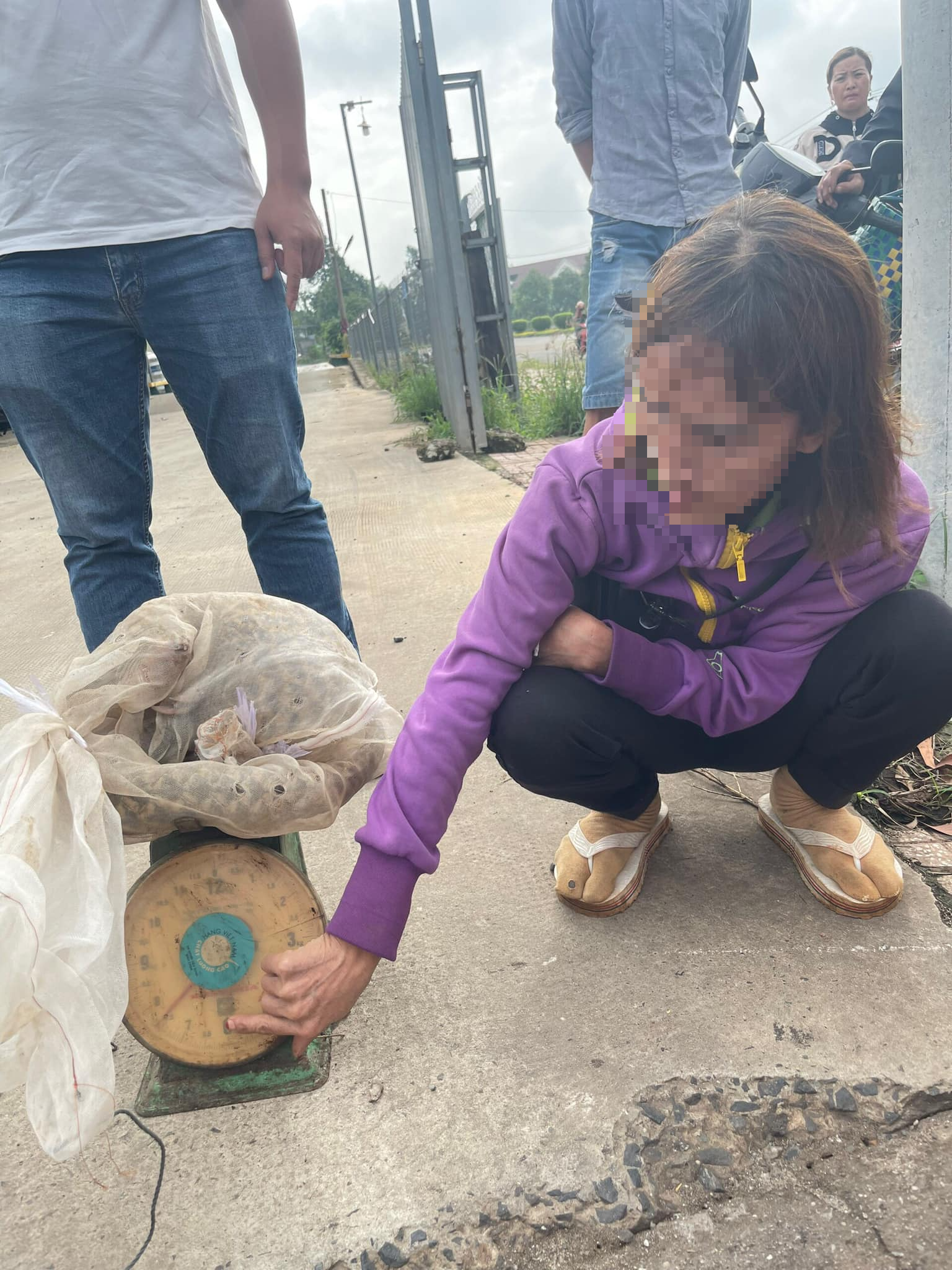 Bắt được con Tê Tê quý hiếm rồi chở đi bán, người phụ nữ bị cảnh sát bắt giữ - Ảnh 1.
