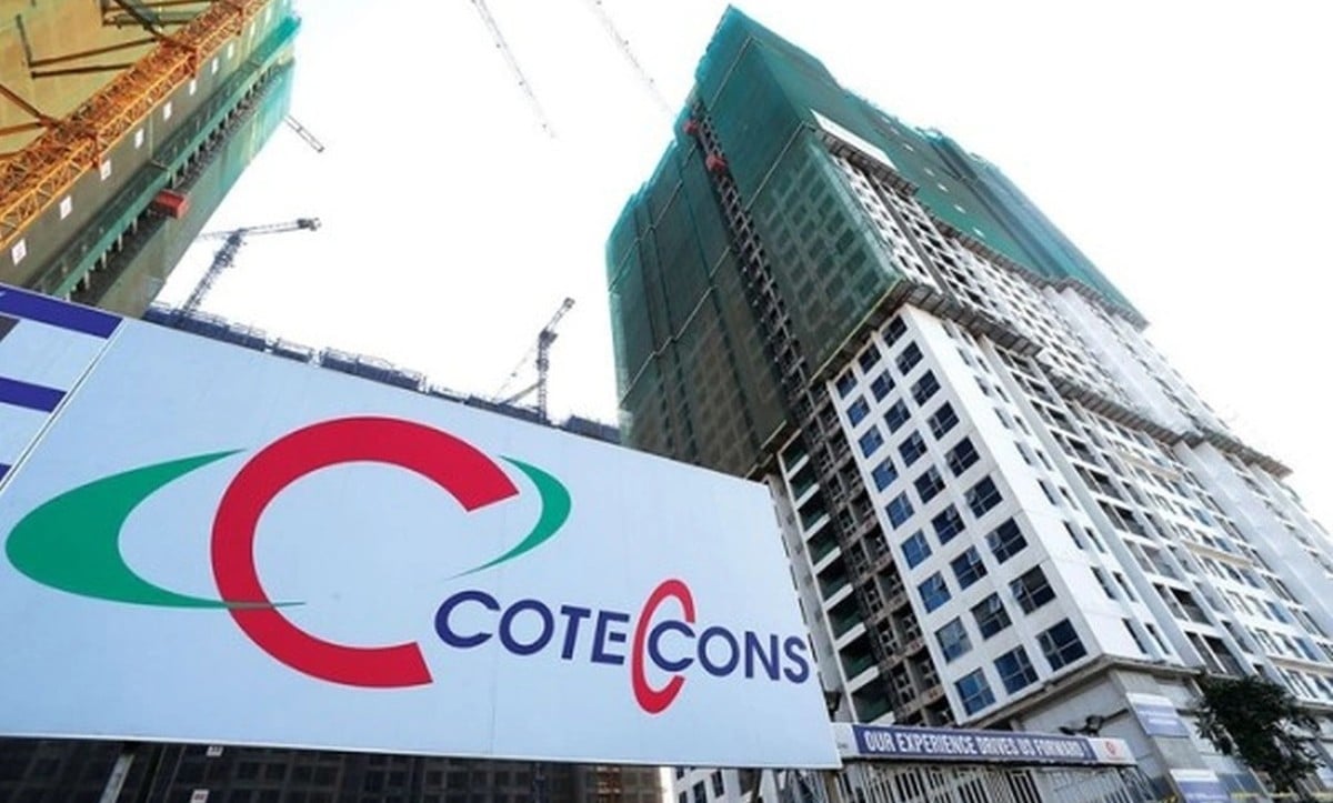 Ricons nộp đơn yêu cầu Coteccons &quot;mở thủ tục phá sản&quot; giữa lúc cao điểm cạnh tranh gói thầu Long Thành - Ảnh 1.