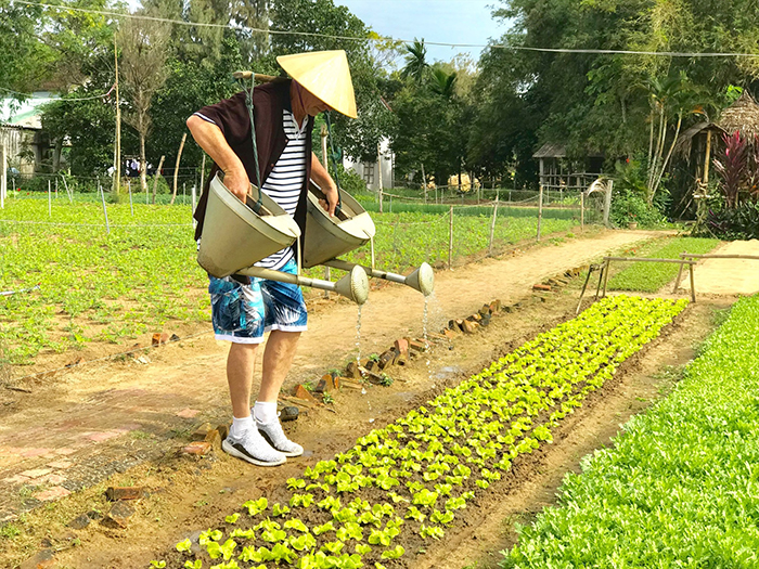 “Mỏ vàng” cho nông dân Việt - Ảnh 3.