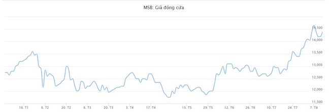 MSB phát hành thành công 2.000 tỷ đồng trái phiếu ra công chúng - Ảnh 1.