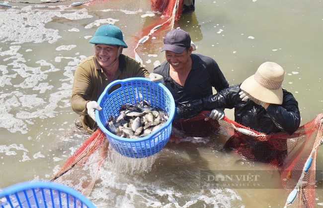 Ngân hàng Chính sách xã hội TP.Đà Nẵng: Vinh danh 185 tổ trưởng Tổ tiết kiệm và vay vốn tiêu biểu - Ảnh 3.