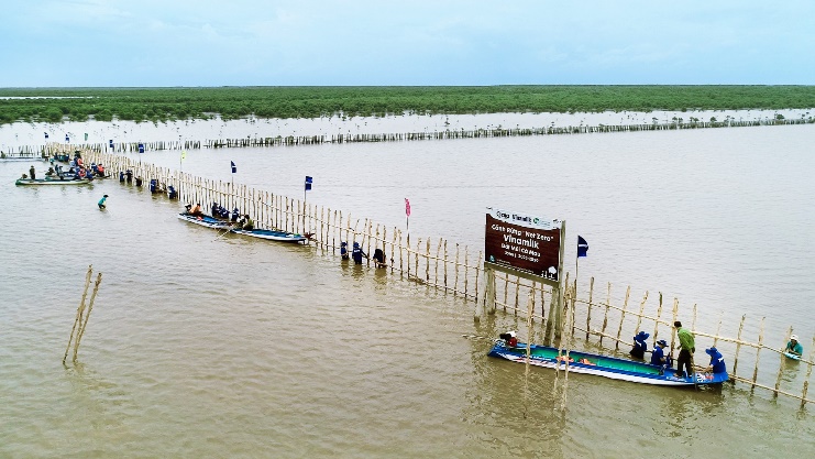 Đẩy mạnh dự án &quot;Cánh rừng Net Zero&quot;, Vinamilk khoanh nuôi tái sinh 25ha rừng ngập mặn Cà Mau - Ảnh 4.