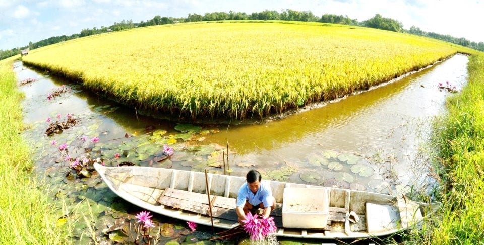 Nâng tầm “lúa thơm, tôm sạch” - Ảnh 1.