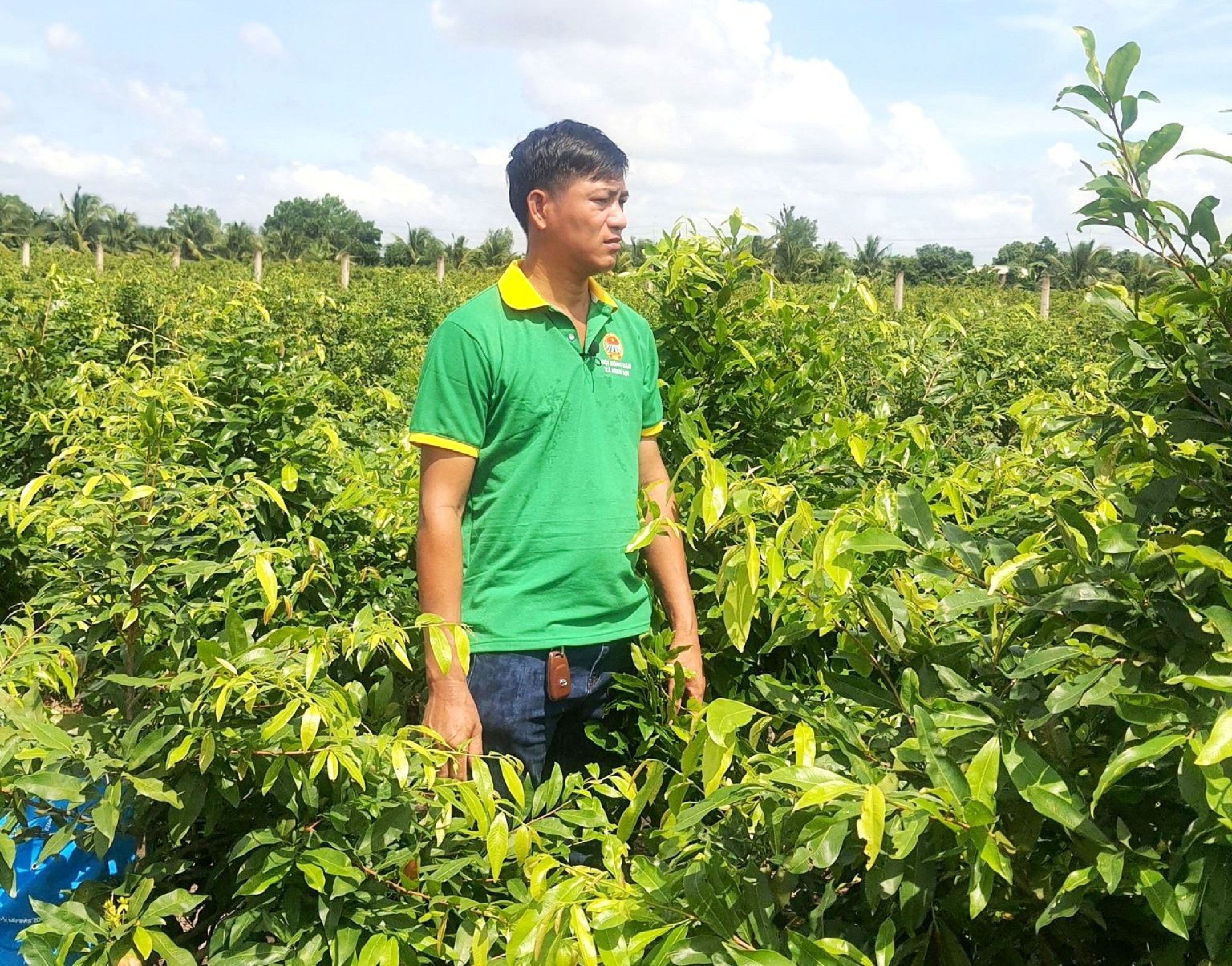 Chắp cánh cho ngành nghề nông thôn - Ảnh 1.