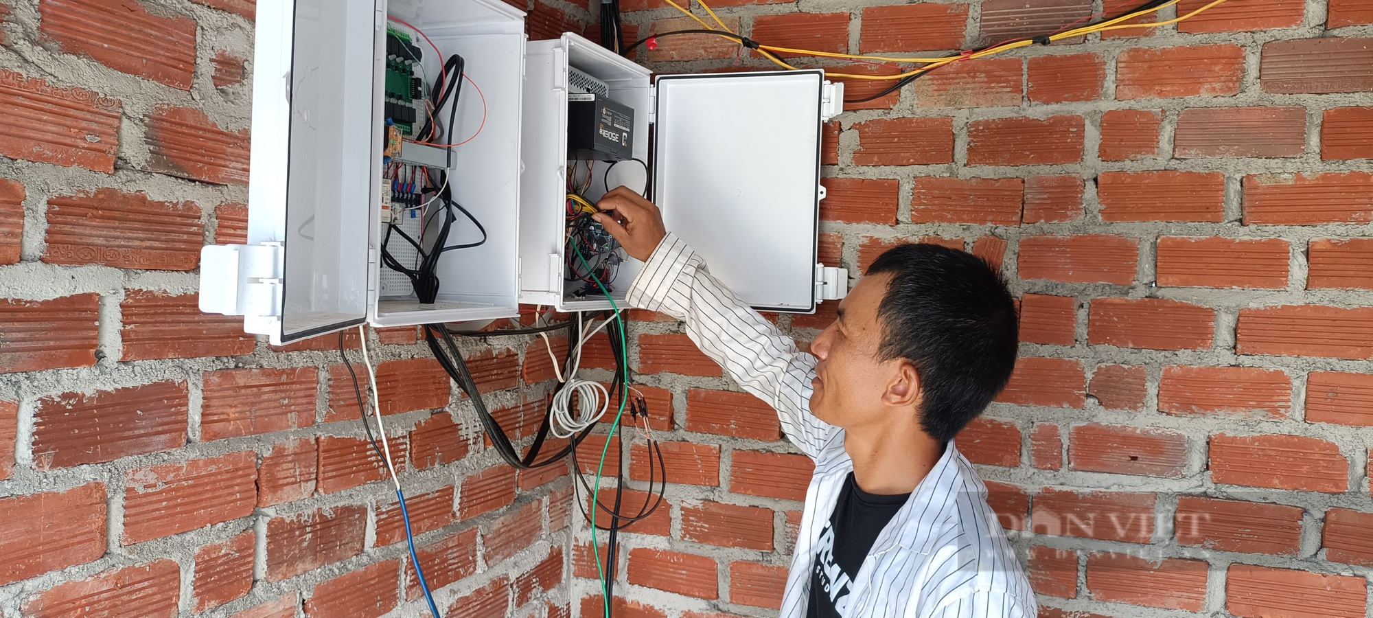 Sắc xanh của nông nghiệp công nghệ cao phủ dần “tiểu sa mạc” của Việt Nam - Ảnh 3.