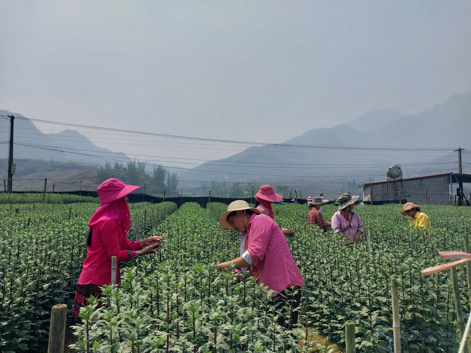 Diện mạo nông thôn mới ở Sa Pa - Ảnh 1.