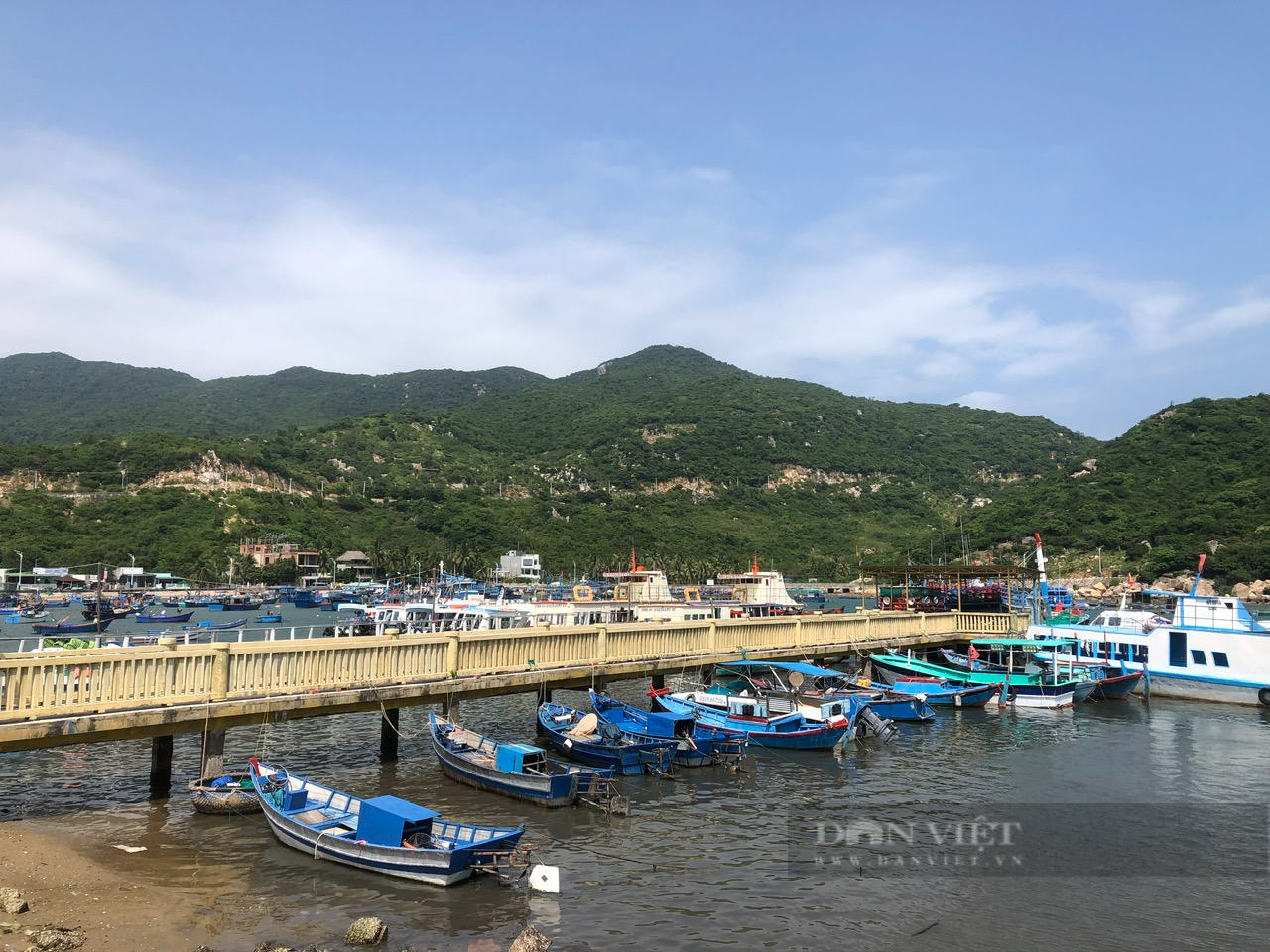 Kiểm tra những nhà hàng, khách sạn ở vịnh Vĩnh Hy bị “tố” xây dựng trên vùng đất quy hoạch trồng cây xanh - Ảnh 8.