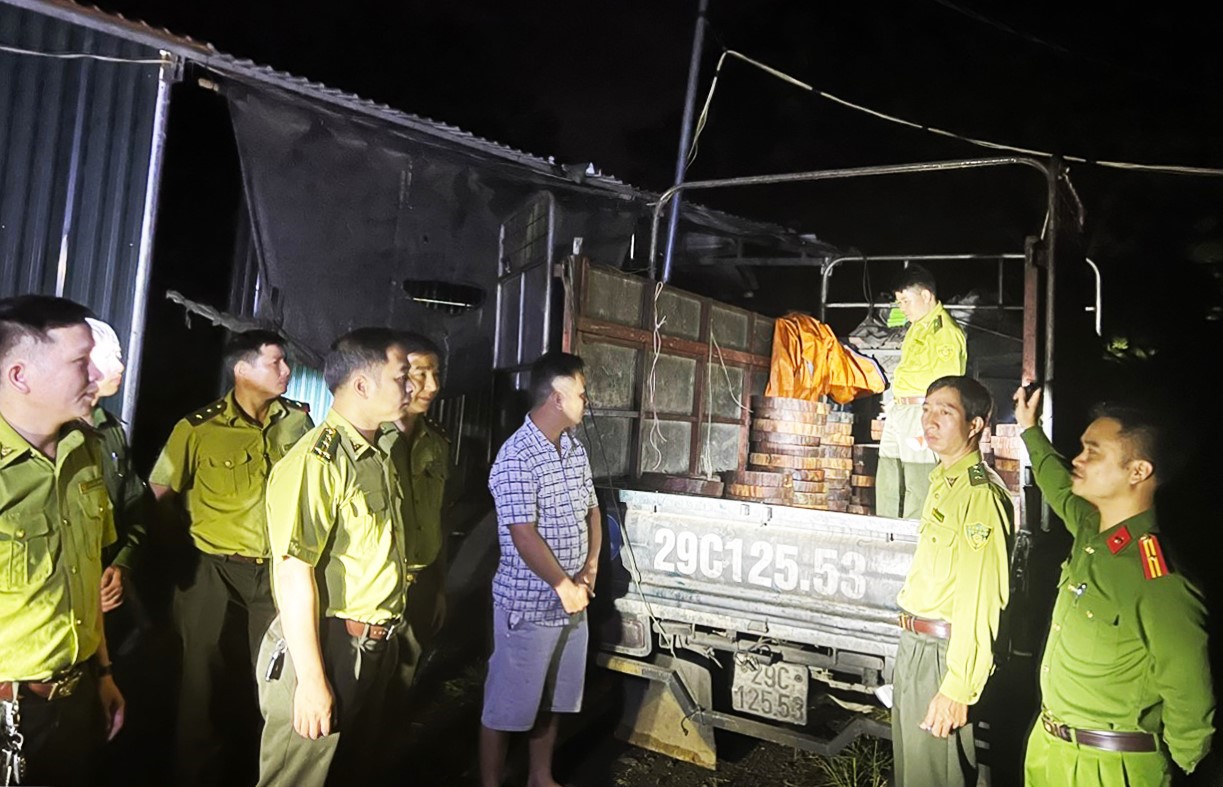 Hà Giang: Mật phục bắt xe vận chuyển gỗ nghiến trái pháp luật  - Ảnh 1.