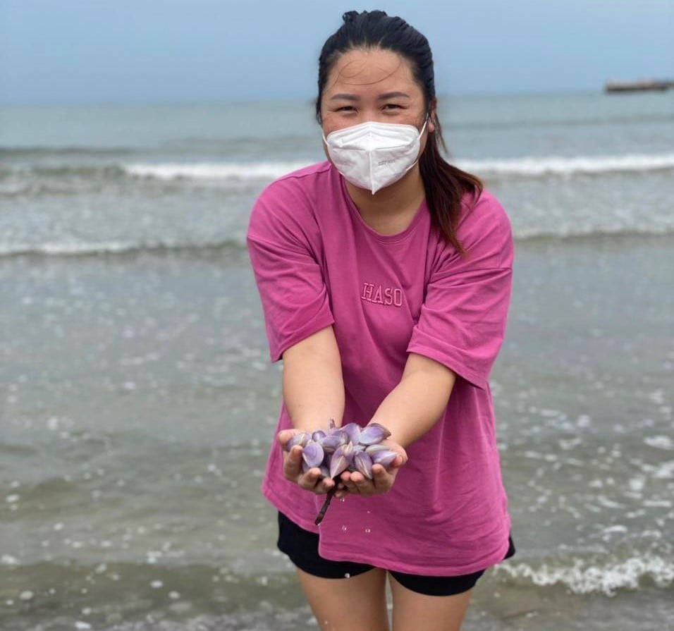 Loài hải sản ngon ngọt, bổ dưỡng dạt đầy vào bãi biển, dân hò nhau ra nhặt về nấu món khoái khẩu - Ảnh 4.