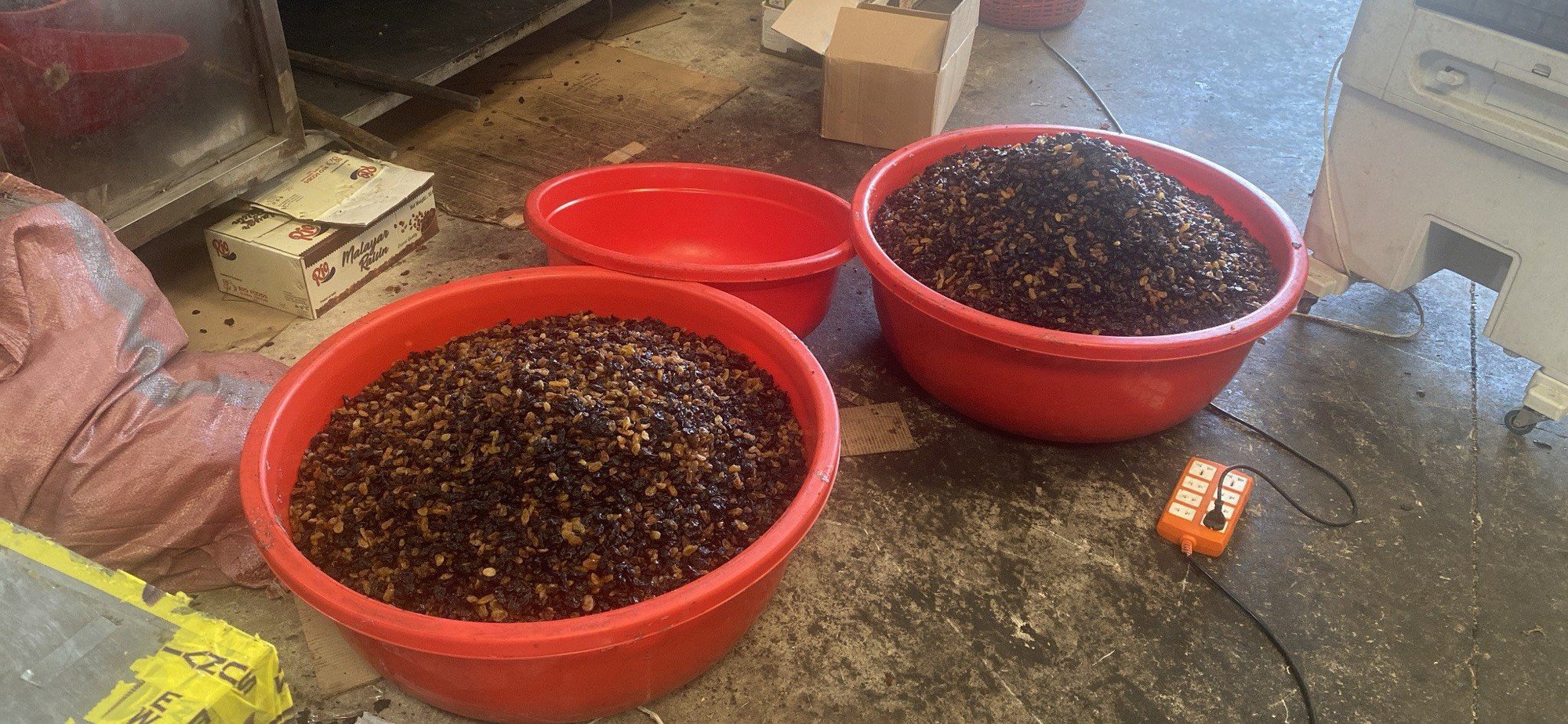 Bình Dương: Công ty Trí Tiến "hô biến" nho khô Ấn Độ thành thương hiệu nho khô Sunview Raisins của Mỹ- Ảnh 1.