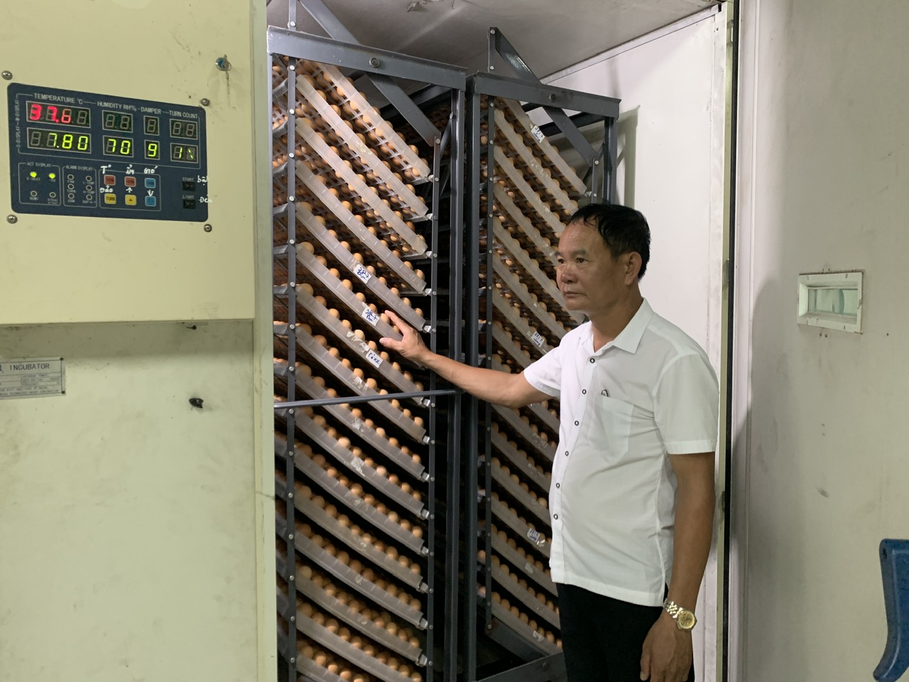 Năng động ứng dụng công nghệ cao, nông dân Hà Nội thu lãi tiền tỷ- Ảnh 2.
