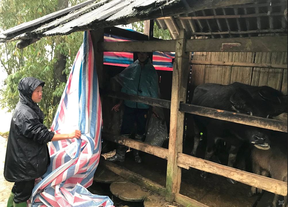 Rét hại kéo dài toàn miền Bắc, nhà nông chủ động bảo vệ “đầu cơ nghiệp”- Ảnh 1. Rét hại kéo dài toàn miền Bắc, nhà nông chủ động bảo vệ “đầu cơ nghiệp”- Ảnh 1.