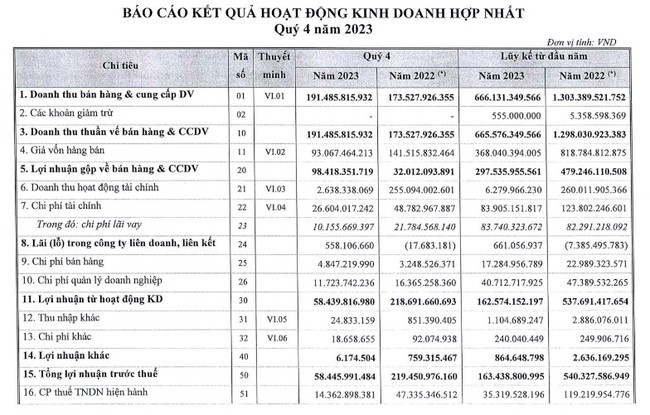 Vì đâu Hodeco báo lãi quý IV "bốc hơi" hơn 72%, trở về mức thấp nhất 5 năm qua?- Ảnh 1.