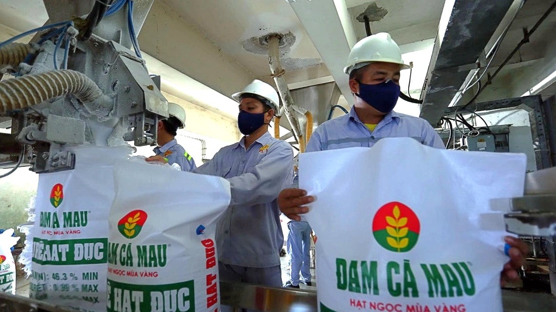 Có lượng tiền "khủng" gửi ngân hàng, Phân bón Cà Mau thu về gần 520 tỷ đồng tiền lãi năm 2023- Ảnh 1.