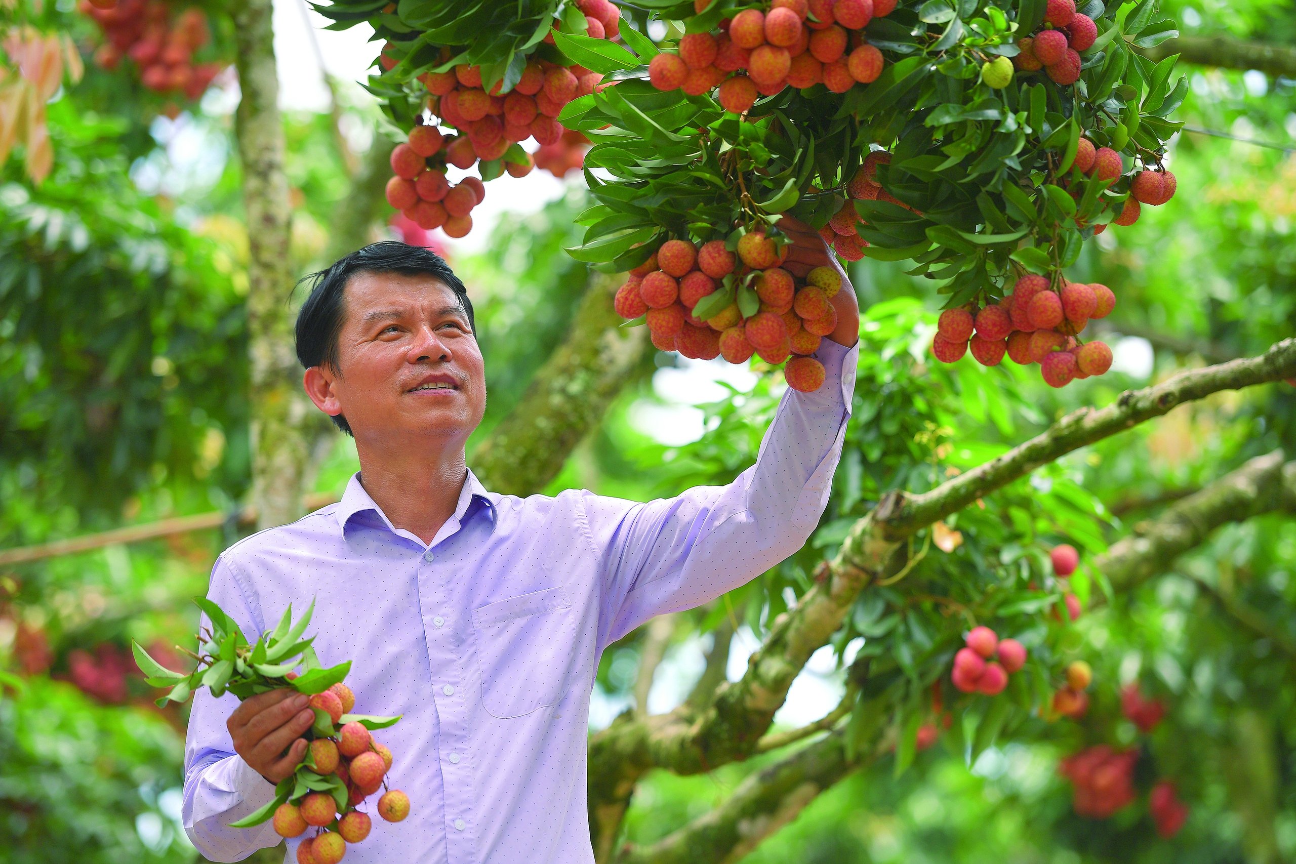 “Phố về làng” và miền quê đáng sống Bắc Giang- Ảnh 3. “Phố về làng” và miền quê đáng sống Bắc Giang- Ảnh 3.