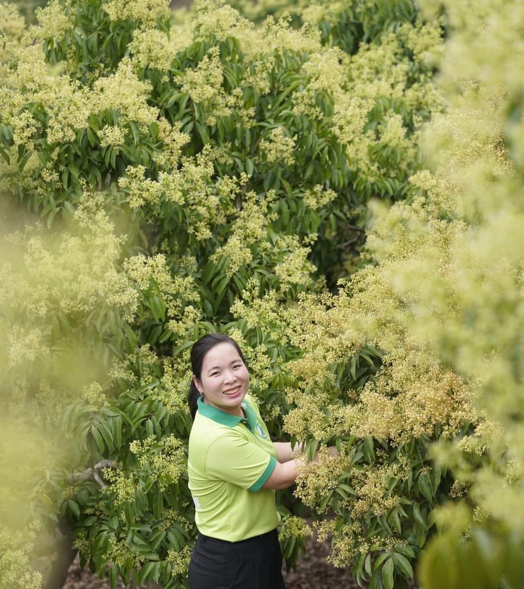 "Lên bờ xuống ruộng" theo đuổi nông nghiệp xanh- Ảnh 1. "Lên bờ xuống ruộng" theo đuổi nông nghiệp xanh- Ảnh 1.