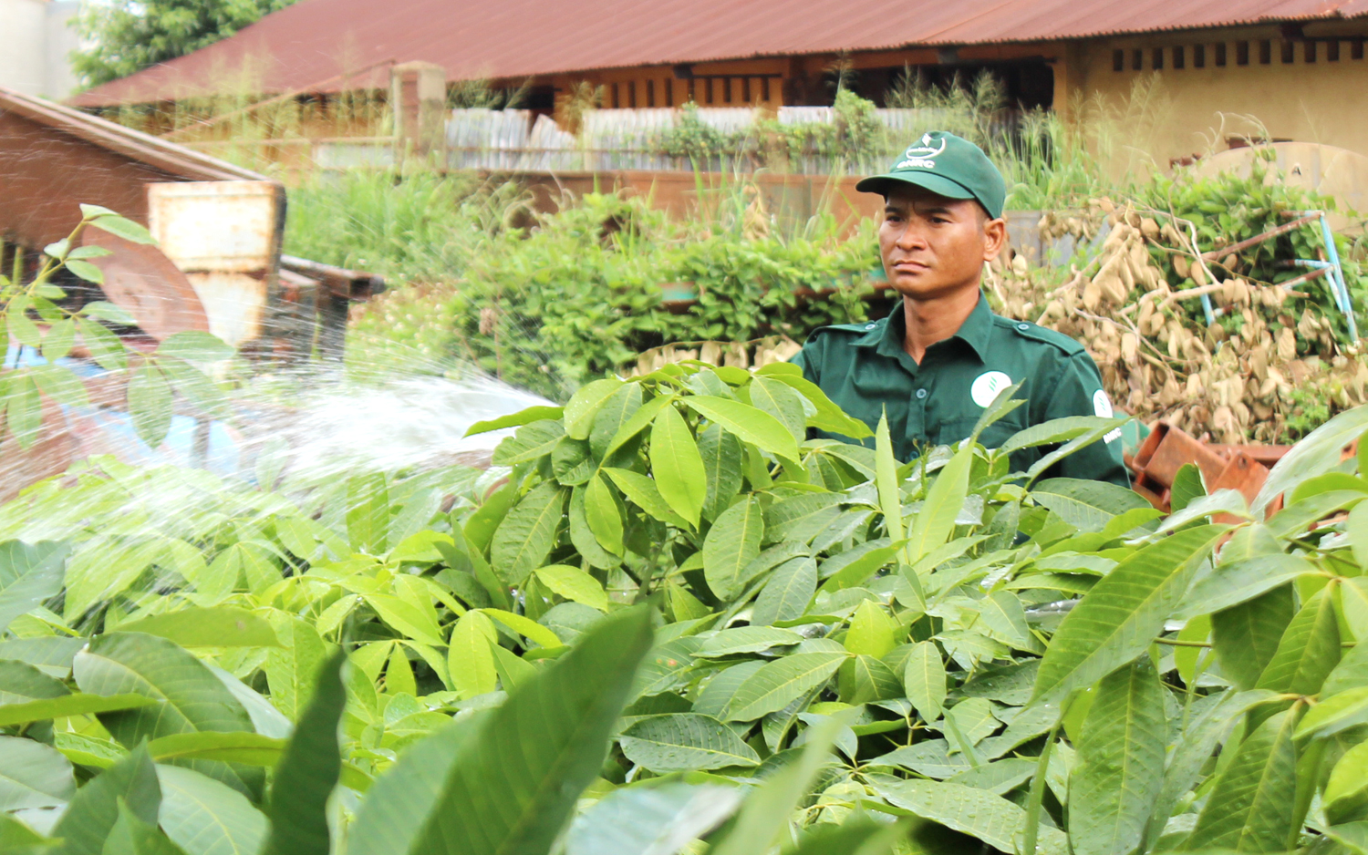Đồng Nai đau đầu tìm giải pháp ổn định đời sống đồng bào dân tộc thiểu số nhập cư- Ảnh 1.