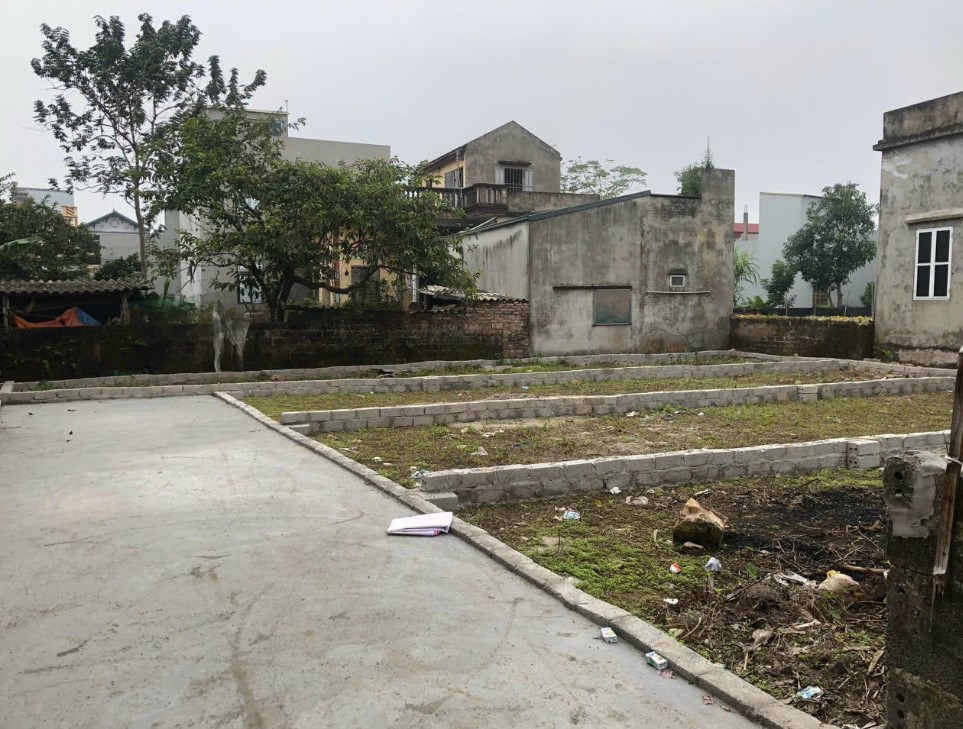 Giá rao bán tăng, đất nền ngoại thành Hà Nội có thật sự sốt?- Ảnh 1.