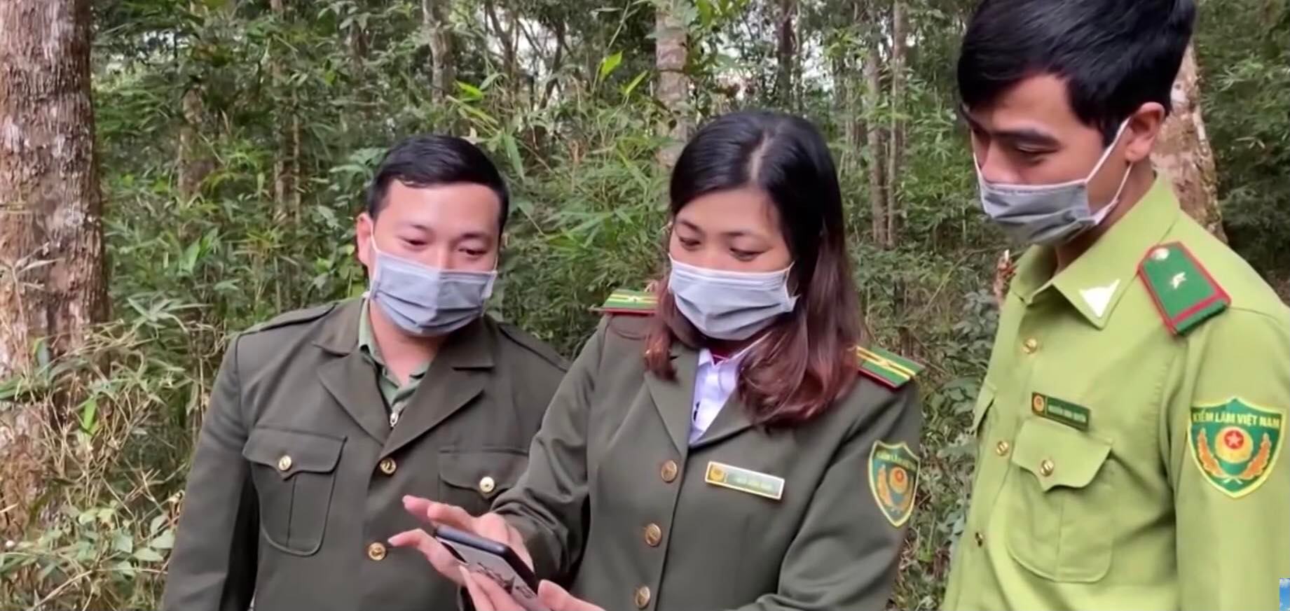 Ứng dụng công nghệ trong công tác quản lý, bảo vệ rừng ở Điện Biên - Ảnh 2.