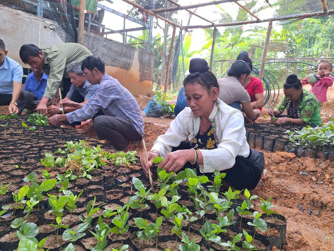 Đổi đời từ đào tạo nghề, lao động ở Mường Ảng tự tin vươn xa   - Ảnh 1.