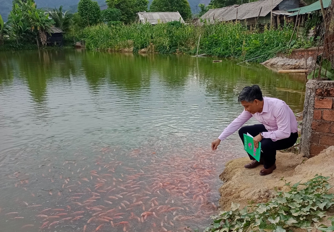 Quảng Ngãi: Hội nông dân thực hiện chính sách tín dụng ưu đãi phát triển nông nghiệp, nông thôn hiệu quả - Ảnh 3.