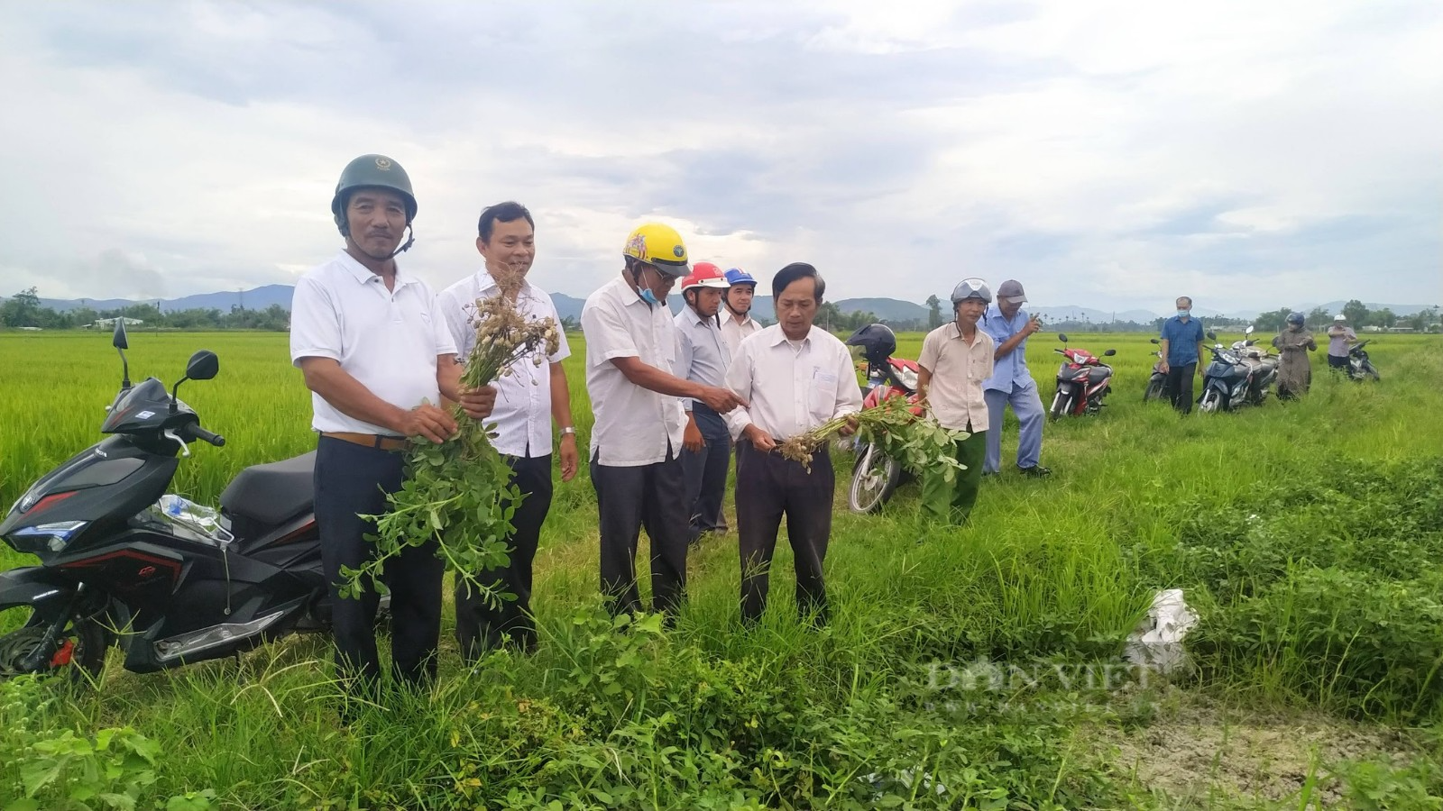 Quảng Ngãi: Nông nghiệp thị xã Đức Phổ vượt khó, tăng trưởng vượt kế hoạch năm 2024- Ảnh 2. Quảng Ngãi: Nông nghiệp thị xã Đức Phổ vượt khó, tăng trưởng vượt kế hoạch năm 2024- Ảnh 2.