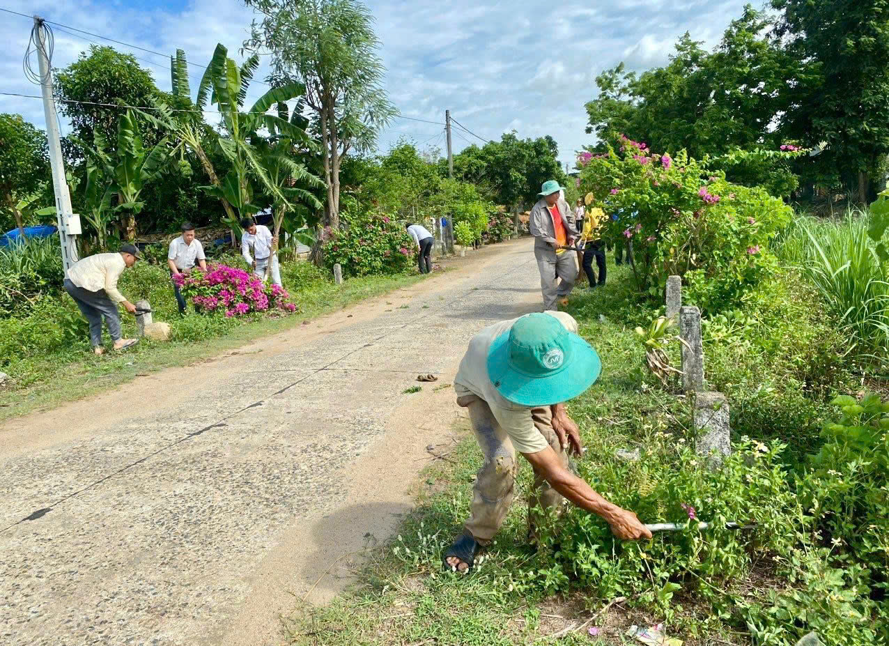 78% số xã đạt chuẩn nông thôn mới ở Phú Yên- Ảnh 1.