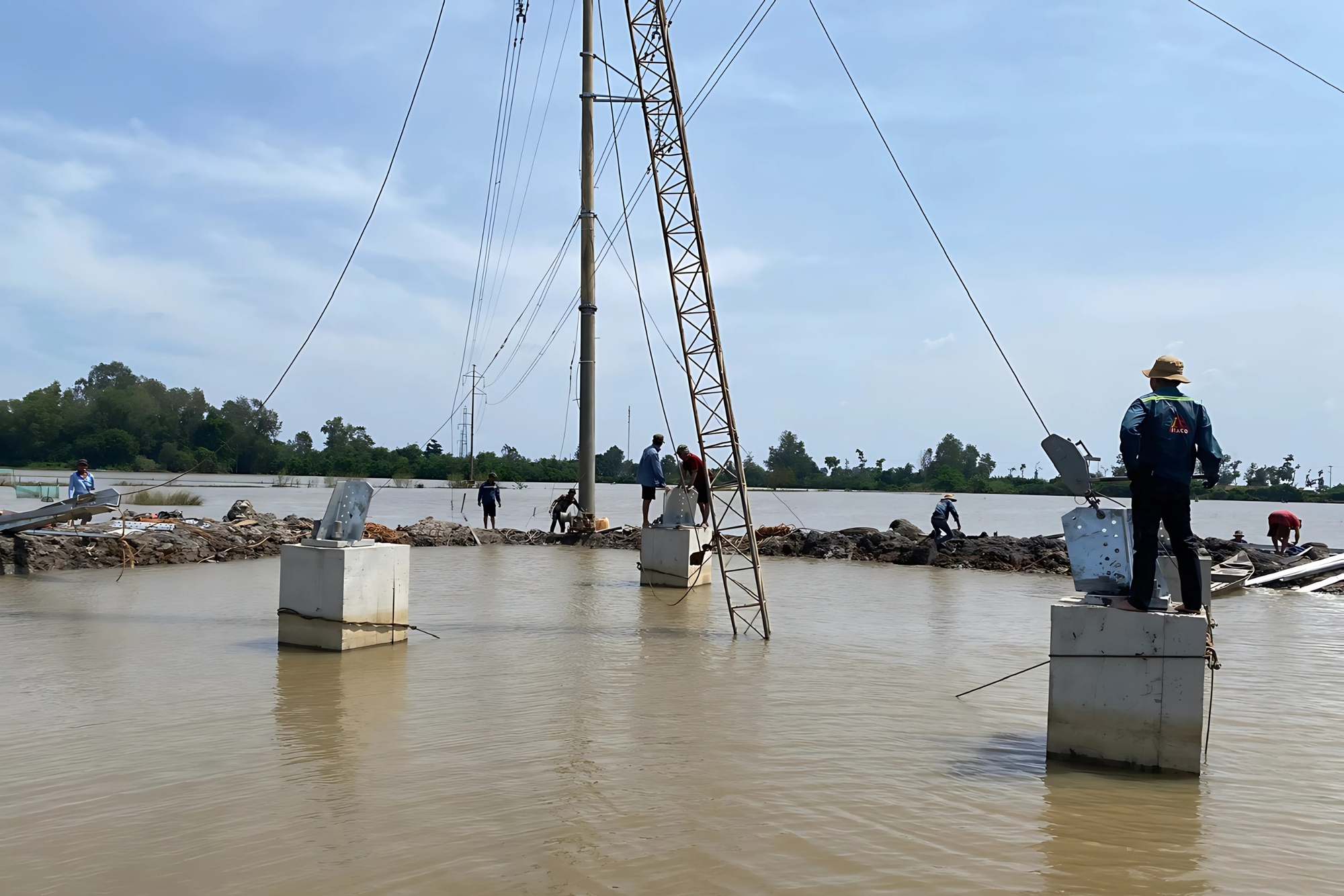 Ngành Điện miền Nam “xuyên đêm” đưa các công trình điện trọng điểm về đích - Ảnh 3.