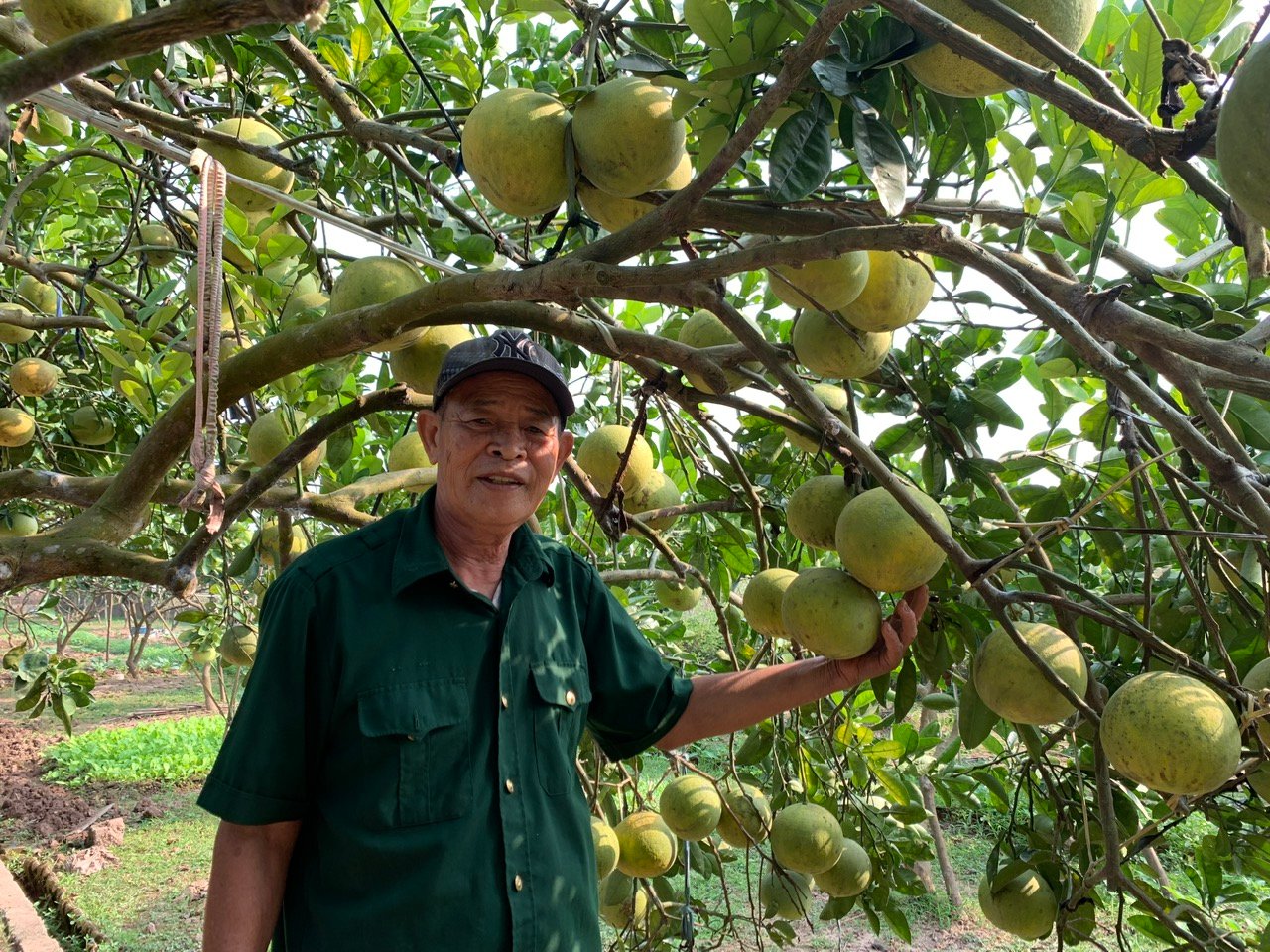 Có vốn, hiểu kỹ thuật, hội viên làm ăn hiệu quả - Ảnh 1.