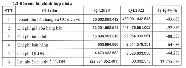 "Trắng" doanh thu, Nhựa Đông Á (DAG) ghi nhận 4 quý liên tiếp lỗ- Ảnh 2.