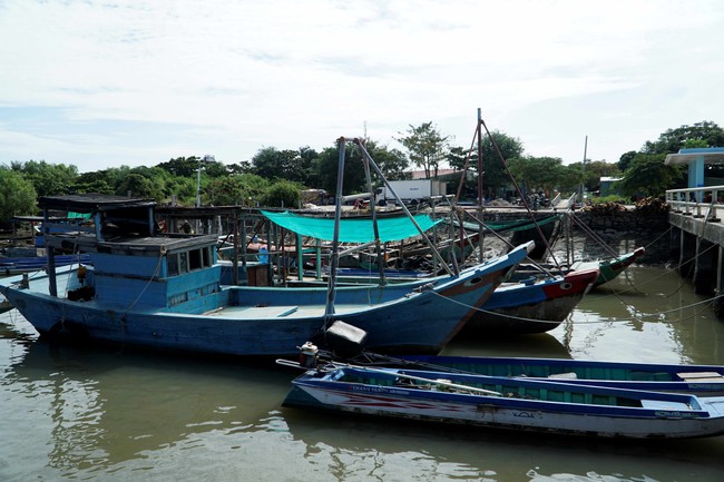 Rút ngắn thời gian TP.HCM đi Tiền Giang bằng phà biển- Ảnh 2.