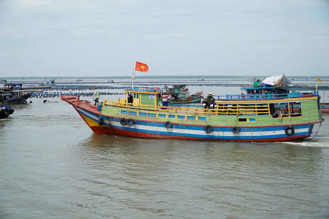 Rút ngắn thời gian TP.HCM đi Tiền Giang bằng phà biển- Ảnh 3.