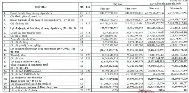 Tới cuối năm 2024, Cổ đông FECON (FCN) mới có thể nhận toàn bộ cổ tức năm 2022- Ảnh 1.